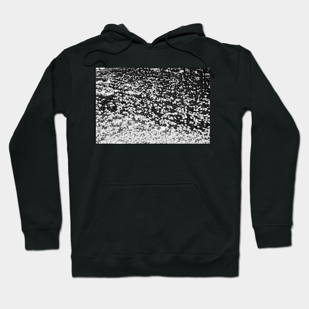 Ice Crystals on River Ice. Hoodie by CanadianWild418